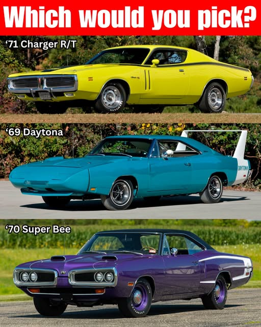 Victoria9e2's tweet photo. which would you pick? https://t.co/Qqqx7RCACj