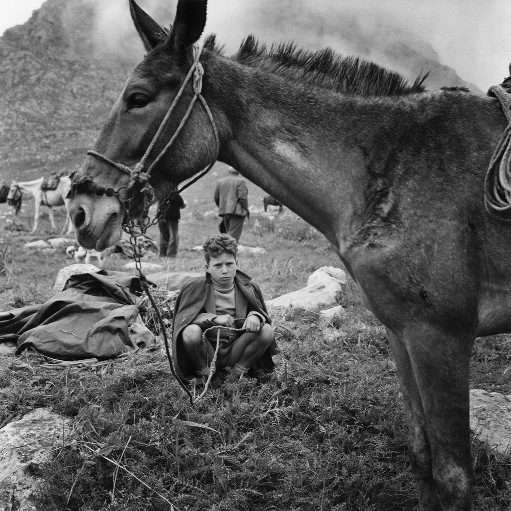 aseelswaid9's tweet photo. Sicilia 1958 https://t.co/OIzkmvNTqm