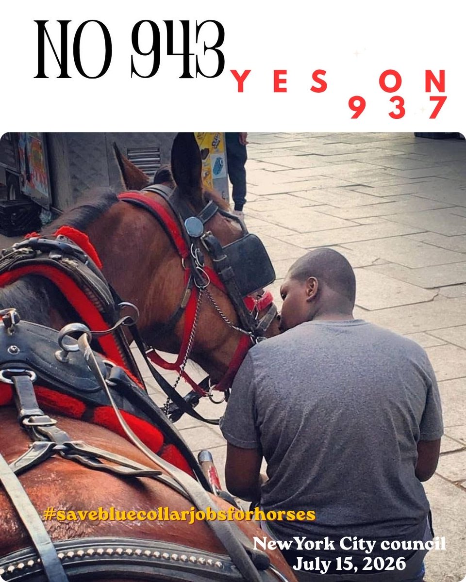 sfhorses's tweet photo. @nycgov https://t.co/Ot3VMLGHhU