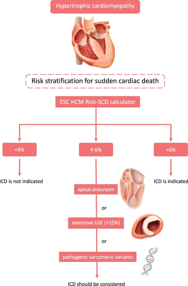 HaseebEPHF's tweet photo. European Journal of Heart Failure 2026
"EJHF expert consensus statement on the diagnosis and management of hypertrophic cardiomyopathy"
https://t.co/jpahvHVbgD https://t.co/vubv1MfPdb