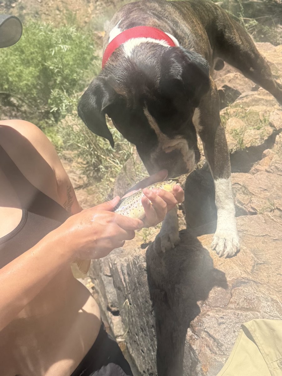 Raeealvidrez's tweet photo. 🐶🎣💙 https://t.co/Ujdi9ZU5aX