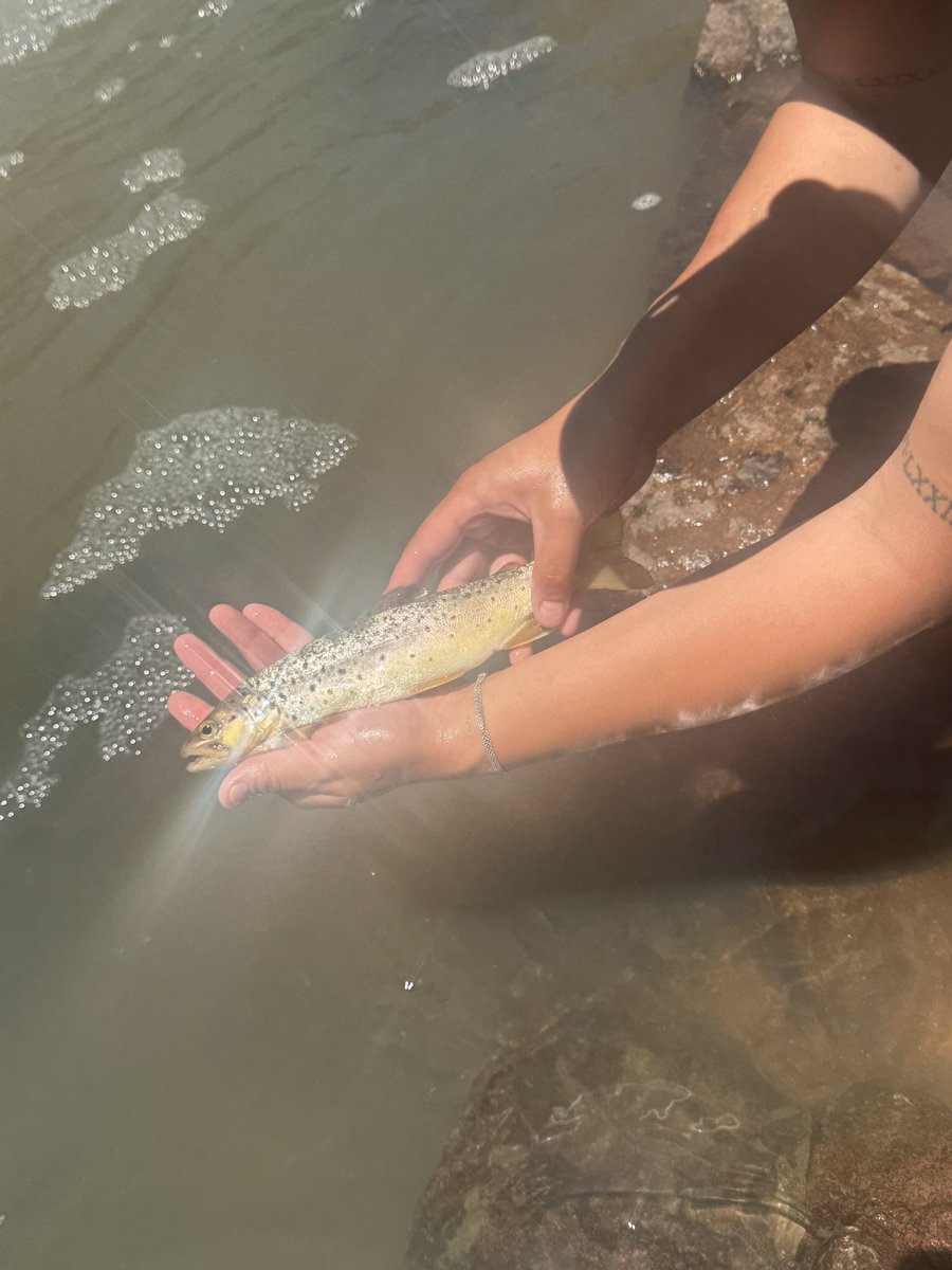 Raeealvidrez's tweet photo. 🐶🎣💙 https://t.co/Ujdi9ZU5aX