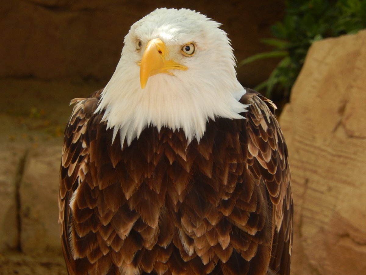 djodecides's tweet photo. zoo trip https://t.co/9UJzl0so7f
