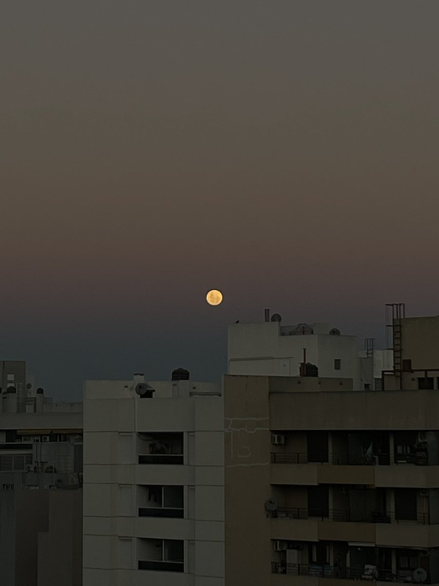 mmelchula's tweet photo. la luna y borges https://t.co/Kwv7EIRsrj