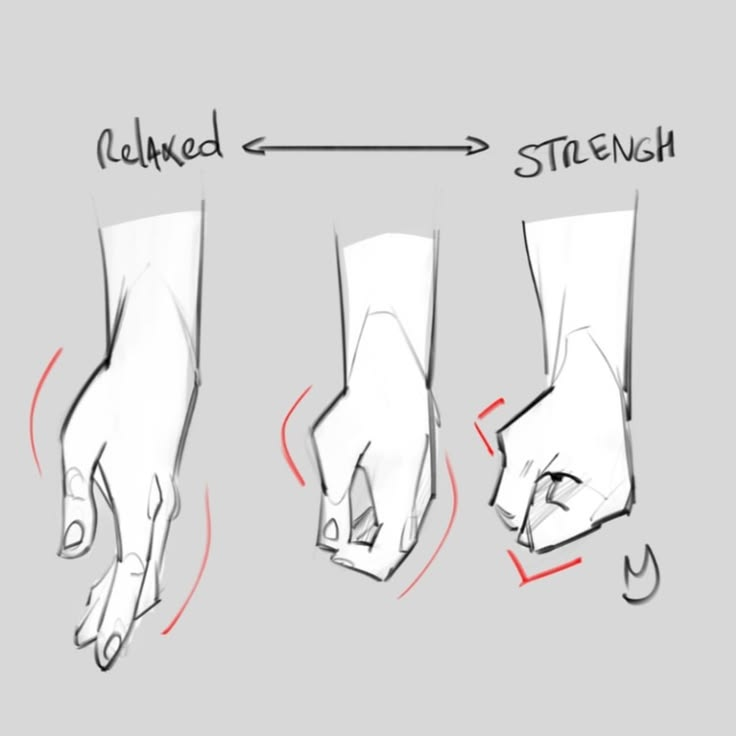 LimboSketch's tweet photo. Relaxed to strenght hand https://t.co/9uucQEdtuS