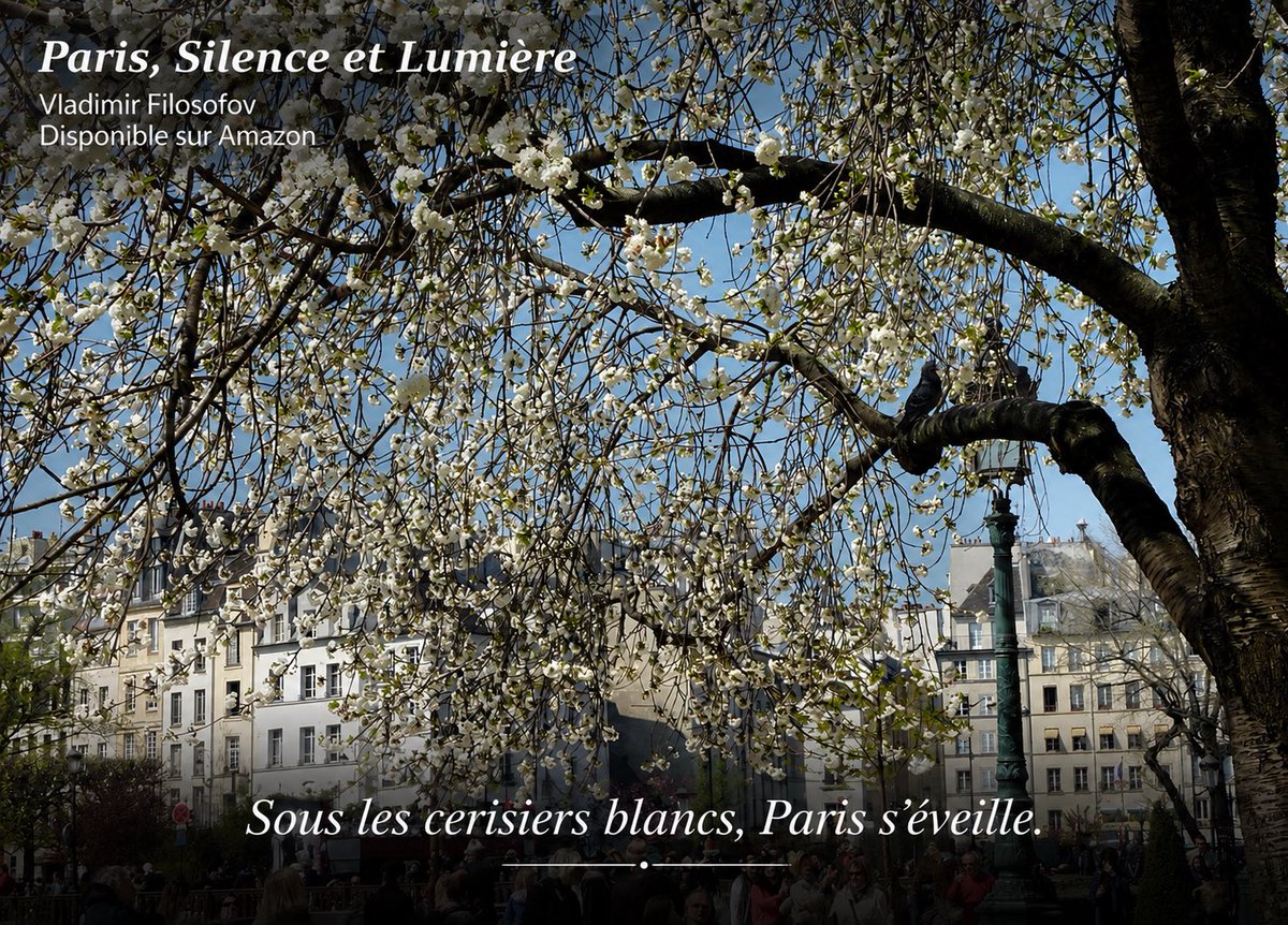 Filosofov1's tweet photo. Paris au printemps, dans le silence des cerisiers blancs.
Une image extraite de mon livre Paris, Silence et Lumière, promenade photographique et poétique à travers la capitale.
Disponible sur Amazon.

#Paris #Photographie #LivrePhoto #ParisPhotography #AmazonKDP https://t.co/Au1j4iaDL9