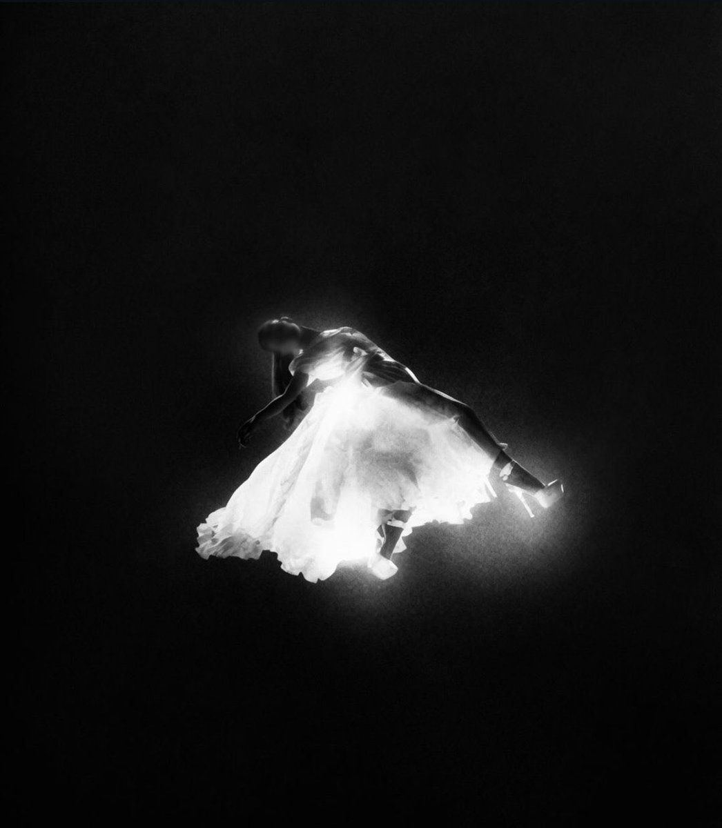darianabrande's tweet photo. eternal sunshine              petal https://t.co/sHBLWWIKFj