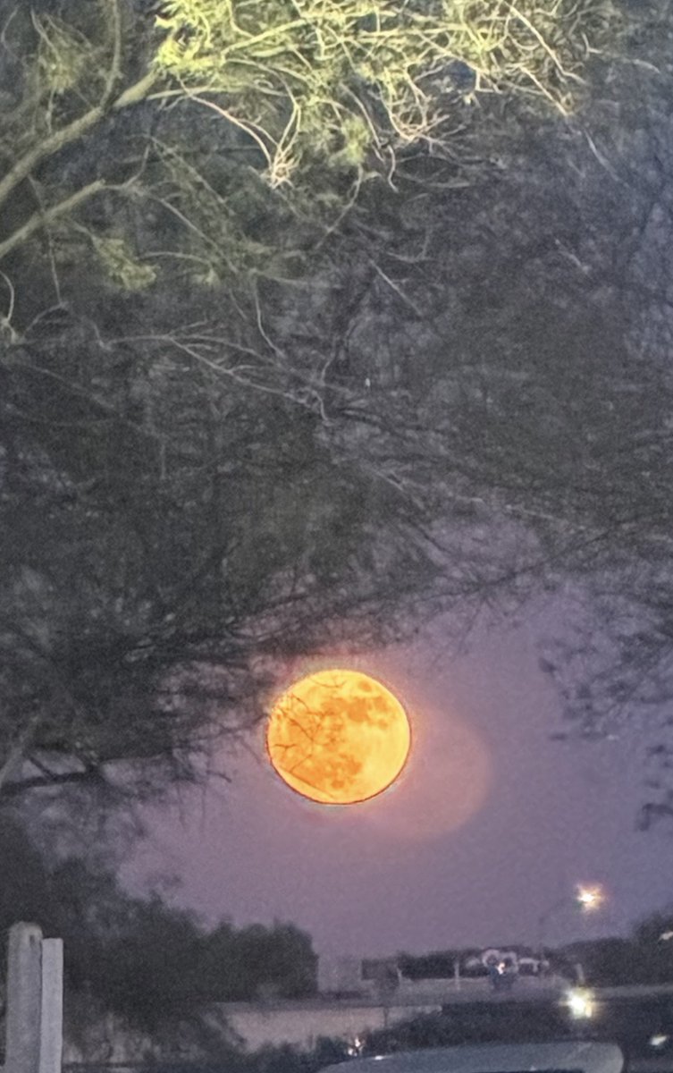 ArizonaNewsnet's tweet photo. Arizona - take a look at the rising full moon in the southeast: https://t.co/mZyTqSrQWo