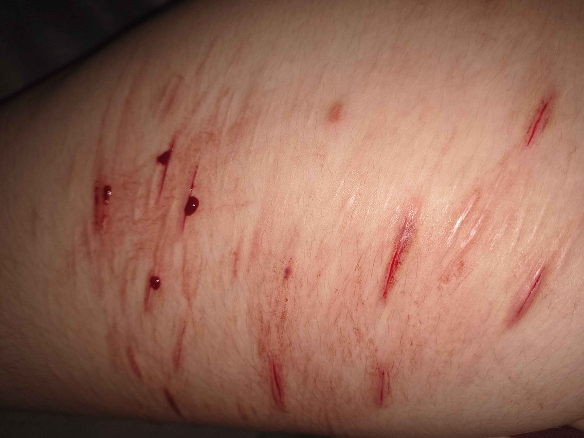 gloomyofshedtwt's tweet photo. Starting cuts!! 

Pretty pathetic if you ask me but we were struggling enough so I won't be THAT mean to ourselves. >.> https://t.co/62EWI63pOE