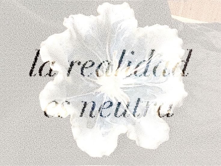 Pharitf's tweet photo. ❶ I know I’m beautiful,
❷ I’m not trying to stand out, I simply do.
There’s a quiet kind of confidence in the way I carry myself, soft yet unforgettable, leaving warmth and grace behind while simply existing and becoming impossible to ignore naturally everywhere. https://t.co/JjTHb6Rx3F