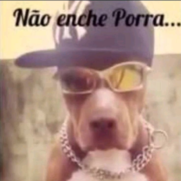 nexus16bits's tweet photo. @tvglobo https://t.co/4IwgHTbVHo