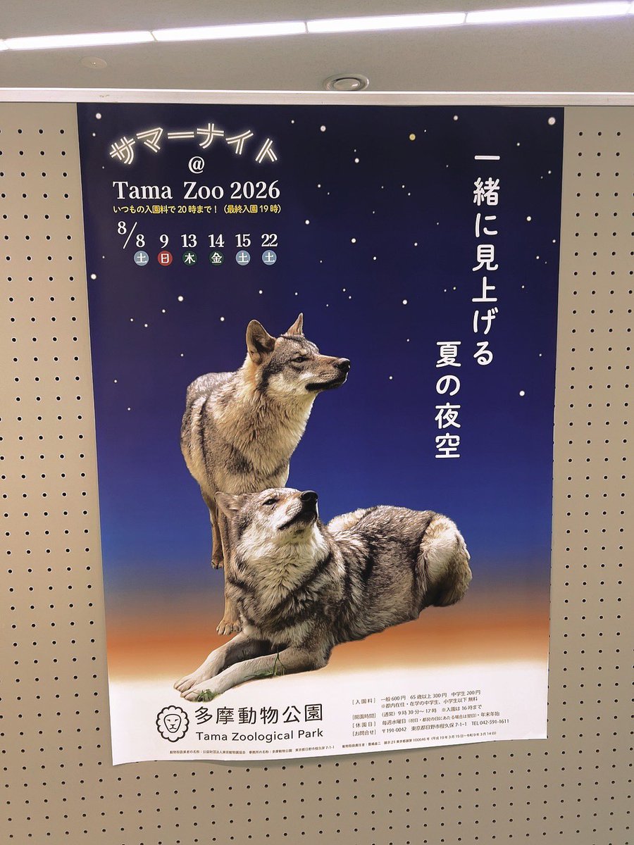 a__020710's tweet photo. ポスター掲示されていました
チラシはランのみ😂 https://t.co/m7x8gv57Uz