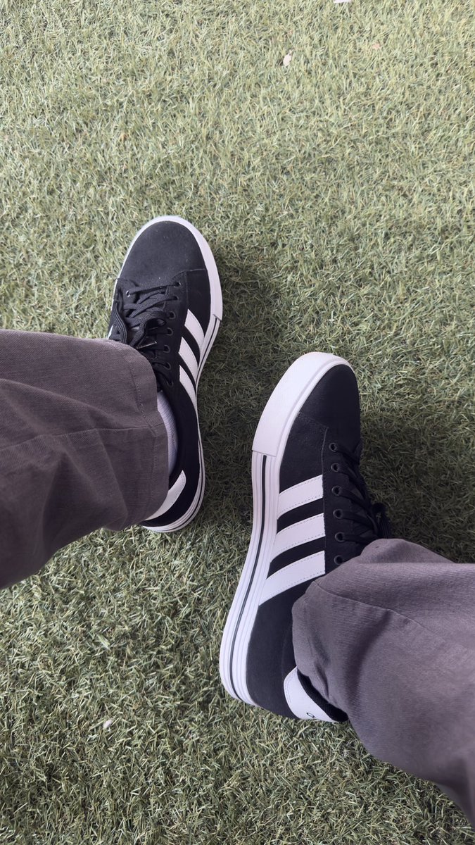 pies_weed's tweet photo. https://t.co/1Tcnm9jnHz