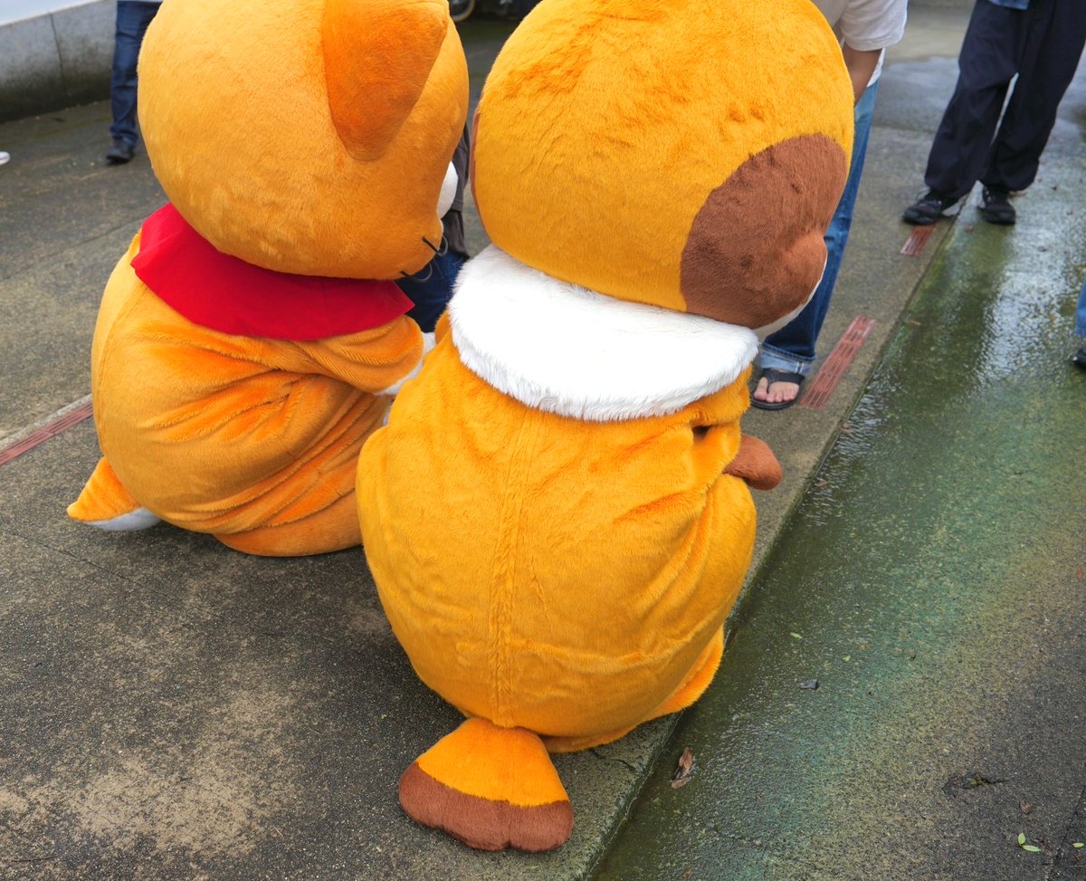 Chunta_patapata's tweet photo. ちゅんちゅん！
しっぽがぬれてびしょびしょになっちゃいそうだったちゅん☔️
せーふなんだちゅん🧡 https://t.co/7v5bh1v84U