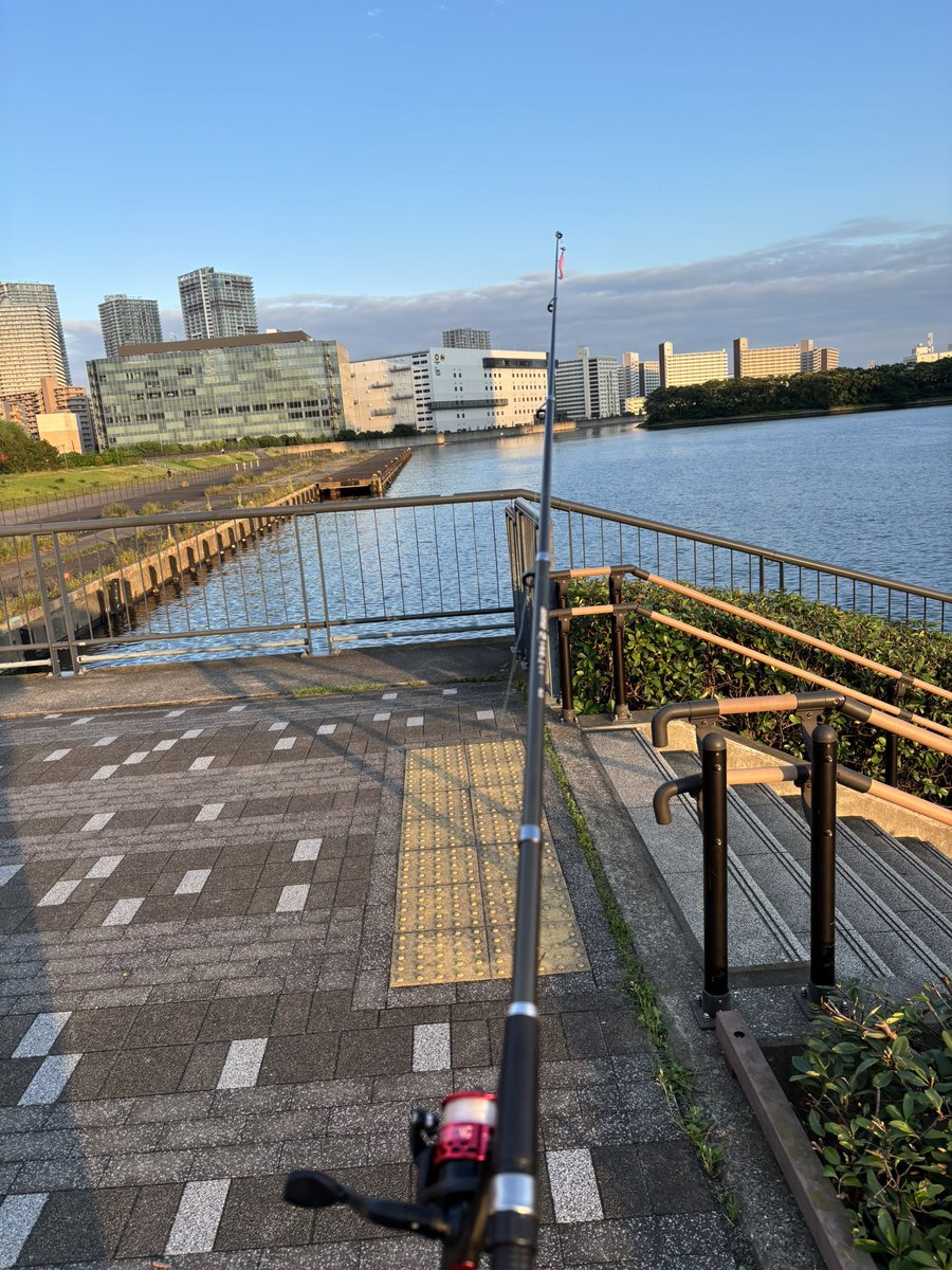 13FISHonShallow's tweet photo. いよいよ私がセレーネで占いをするのも最後の日がやって参りました。

本日は早番なので
12:00-16:30まで在館しています。
もし名残を惜しみたい方、行きたいと思っていたけれどもまだ行けていなかった方。
今日が最後のチャンスです��

写真は昨日釣りをしに行った豊洲東電堀。
#池袋占い館セレーネ https://t.co/grjblZBSre