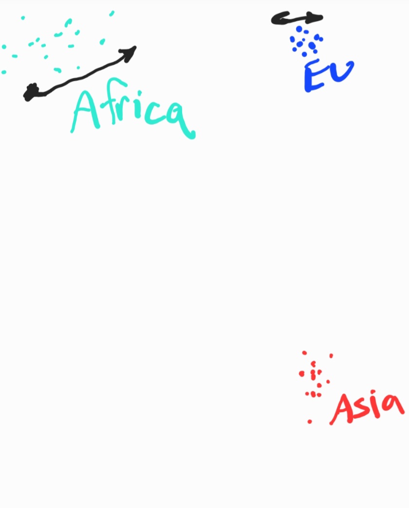 HalloPro235's tweet photo. @CertifiedFatGuy @ieatscripts @Cocoisime Not what that's saying. Basically the african cluster is wide due to a long genetic history, so two africans could be of the same cluster but more distant compared to say a european and an asian. I drew a graph showing this (very barbones diagram) https://t.co/idvIhpIe4G