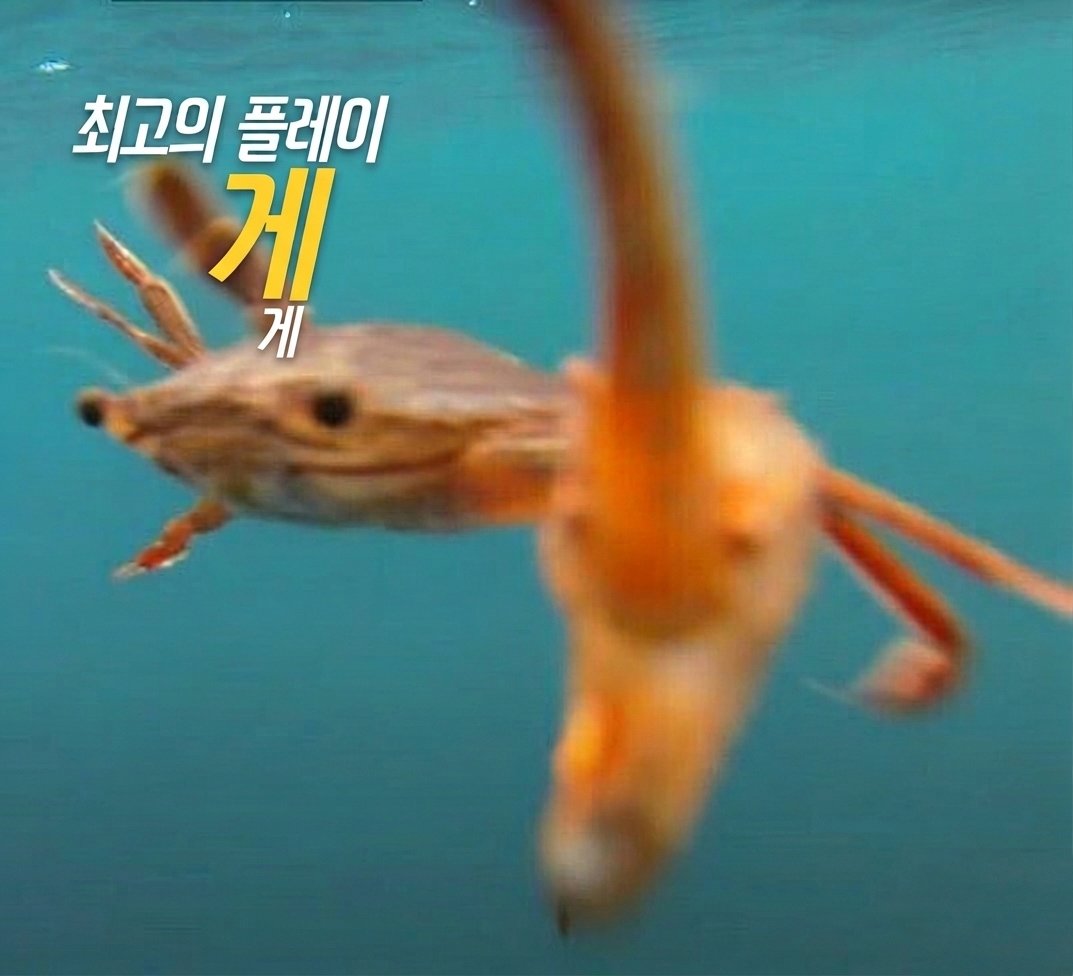 자기 tweet media