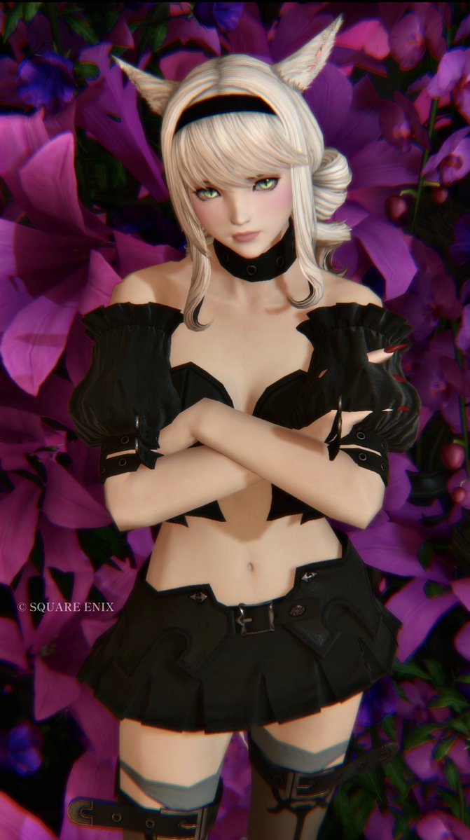 momo___puri's tweet photo. めちゃ今更だけど、ガラテア衣装買った🖤😈
やっぱりかわいいね(ෆ˃ ᵕ ˂ )
#ff14 https://t.co/o1xGzGHeAH