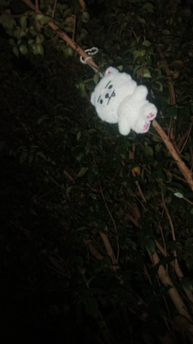 6isfate's tweet photo. snowe...... https://t.co/ytbGon1nLF