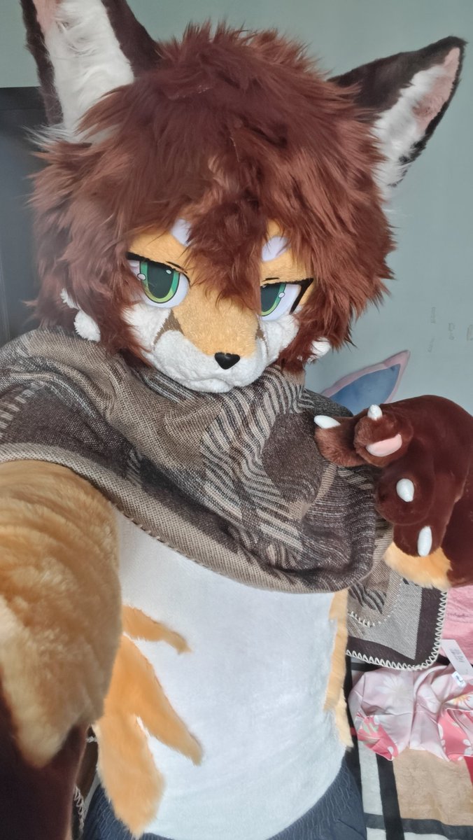 xiaoguangFox's tweet photo. 狐狸😋狐狸🤤 https://t.co/WjYM8lB4FB