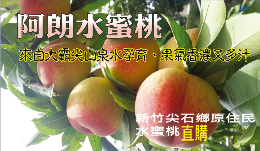 AMDG_Chinese's tweet photo. 爵心E起同行 6月號｜主恩滿溢的喜悅：阮廷明治執事領受司鐸聖秩 - https://t.co/PmnNiUEPV4 https://t.co/yn9AbOoiNa