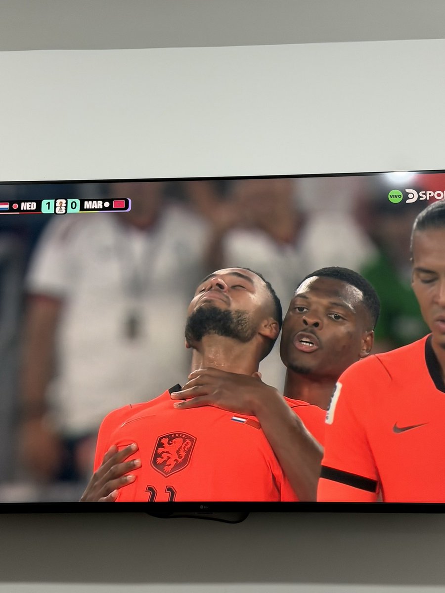 PipeAlvarez28's tweet photo. El gol de Gakpo y como sus compañeros lo celebraron con él, luego del momento tan complejo que vive el delantero, es sin duda uno de los momentos más emotivos de este mundial ⚽️🥺

Solo hace unos días, su esposa informó que murió su hijo que venía en camino.😮‍💨💔 https://t.co/M4DVL7IeE4