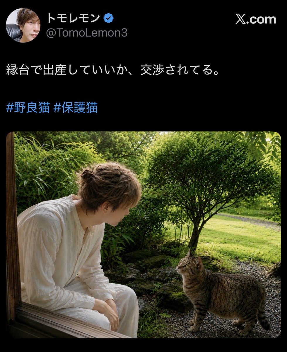 TomoLemon3's tweet photo. 移住してきた時、
クロと二人でこの場所に来た。

「ここに入れてもいいか」
「ここに住んでもいいか」
「ここに移住してもいいか」

そんな交渉が、たしかにあった。

その時は画像も動画も撮れなかった。
でも、今でも覚えている。

あれは入居審査ではなく、
縁台の使用許可申請だったのかもしれない。

そして現在、こうなりました。