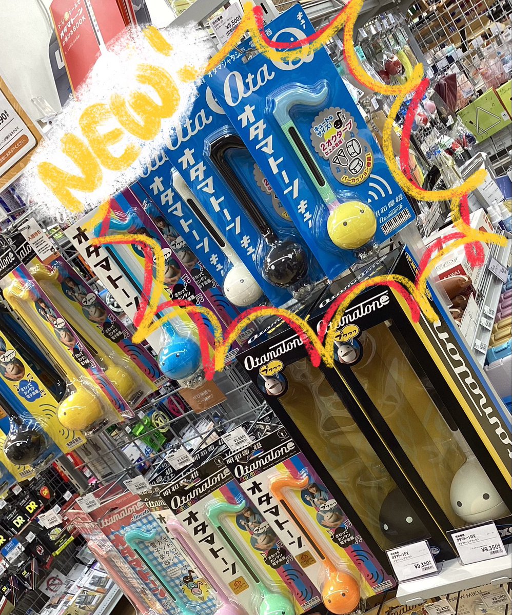 【大型】パピリオ・マヨ（1オス、アンダマン島） 新入荷✨】 オタマトーン新商品『オタマトーンQ』がついに入荷
