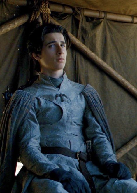 jowrotethis's tweet photo. House Arryn found their look and they *stuck* with it. https://t.co/Mvi4kHHidH