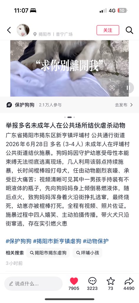 de_shuo23555's tweet photo. 这还是人干出来的事吗？ https://t.co/F5lU0CQqtl