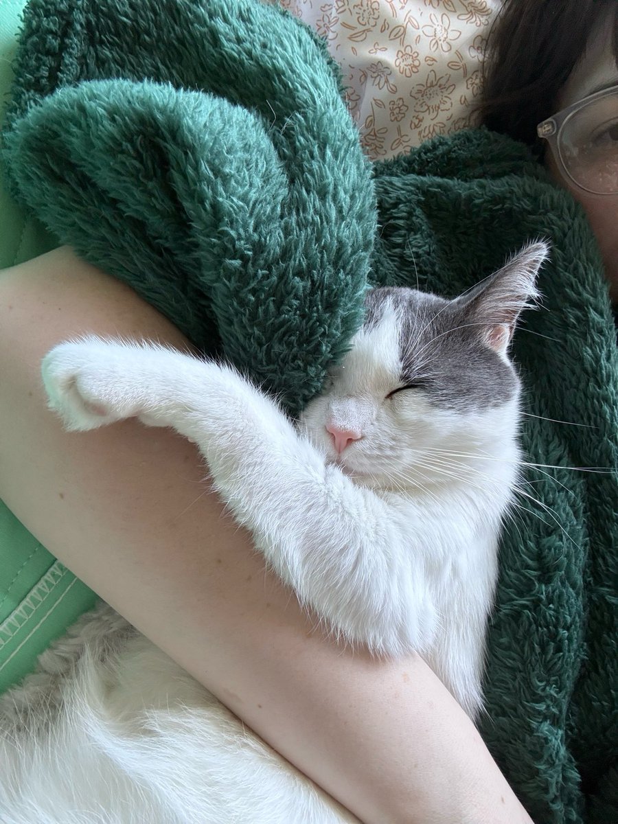 Friends of Bear Cat Rescue tweet media