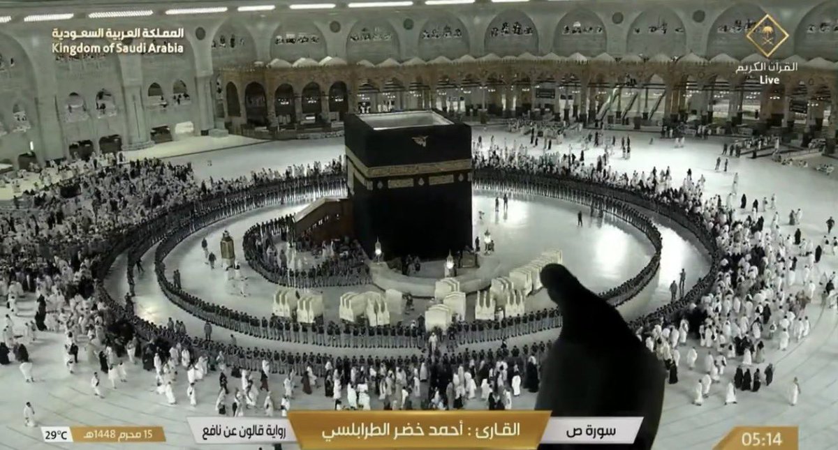 saudipopular's tweet photo. الحمامة تشاهد مراسم غسل الكعبة المشرفة https://t.co/0tBHe55yR6