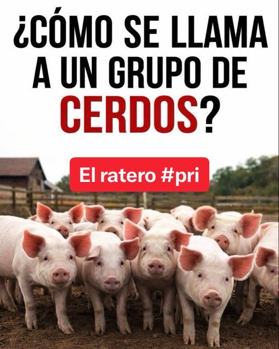NavarreteErnes3's tweet photo. @PRI_Nacional @alitomorenoc https://t.co/3KkJj2KtDM