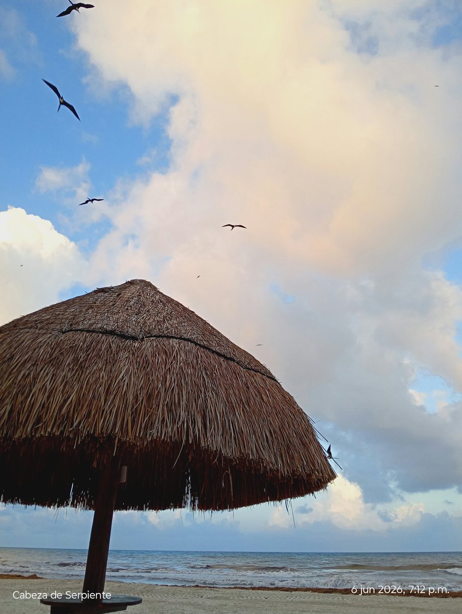 ar_castillo's tweet photo. https://t.co/fNMOkUscY9