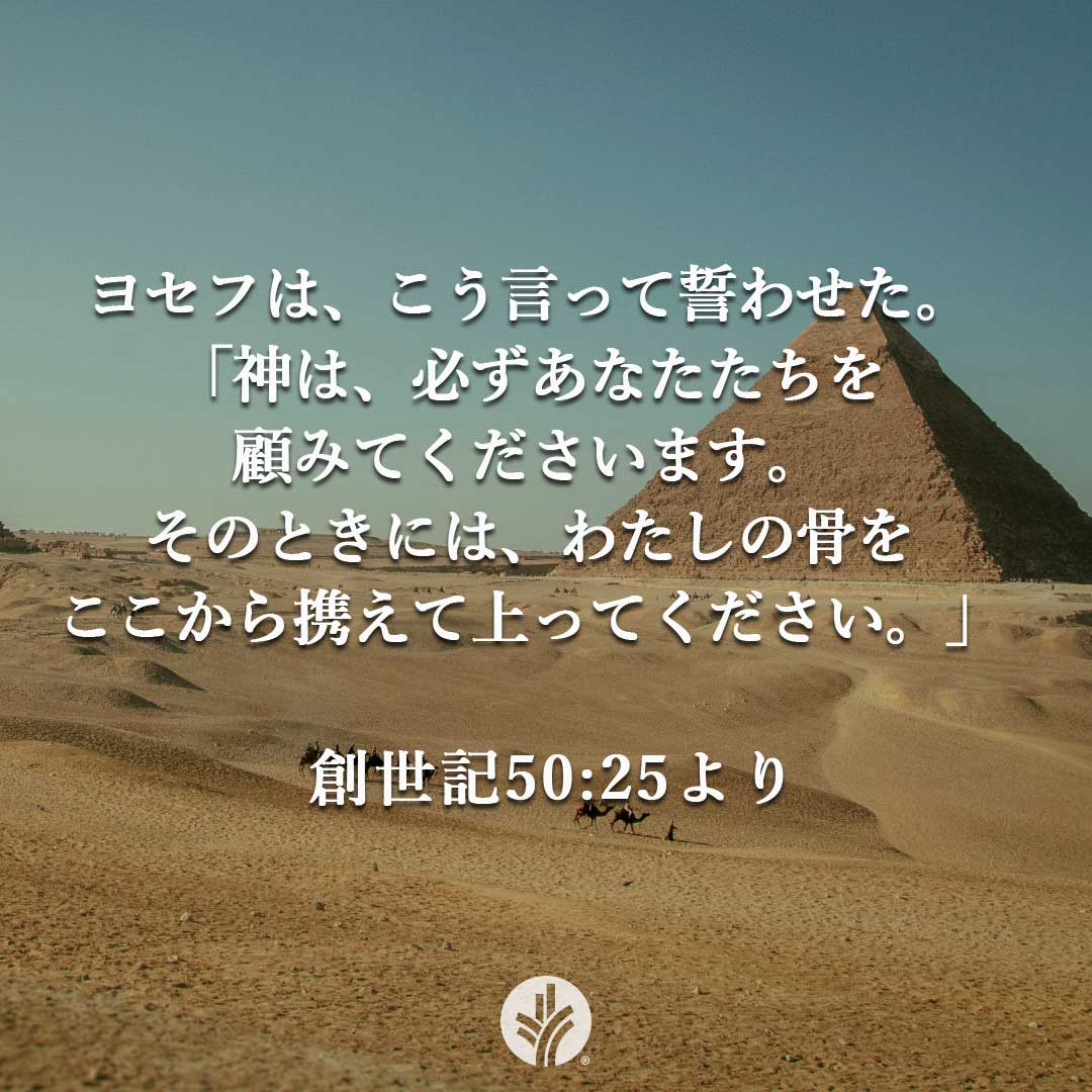 daily_bread_j's tweet photo. ピーターは、毎晩、額に入れた高齢の両親の写真にキスします。もう何年も会っていません。両親や周囲の人たちの反対を押し切って、若い頃、キリスト者になり、両親に勘当されました。ピーターは語ります。「聖書の中で、神はご自分の子どもたちを…… 

続きはこちらで。
https://t.co/bnqsH4jrvX https://t.co/TqAiadL0be