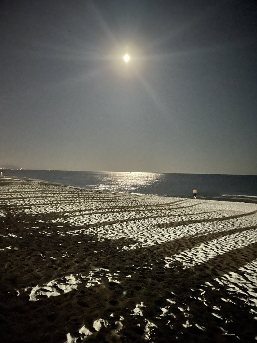 Frezya1905's tweet photo. #Alanya 
#iyigeceler 
#günaydın 
#Salı https://t.co/2tRMCFU0CA