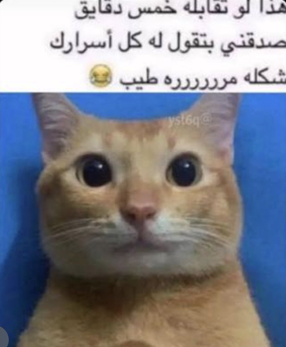 Selsina_'s tweet photo. والله رقم ١٦ في المغرب https://t.co/eFhDuZfBzS