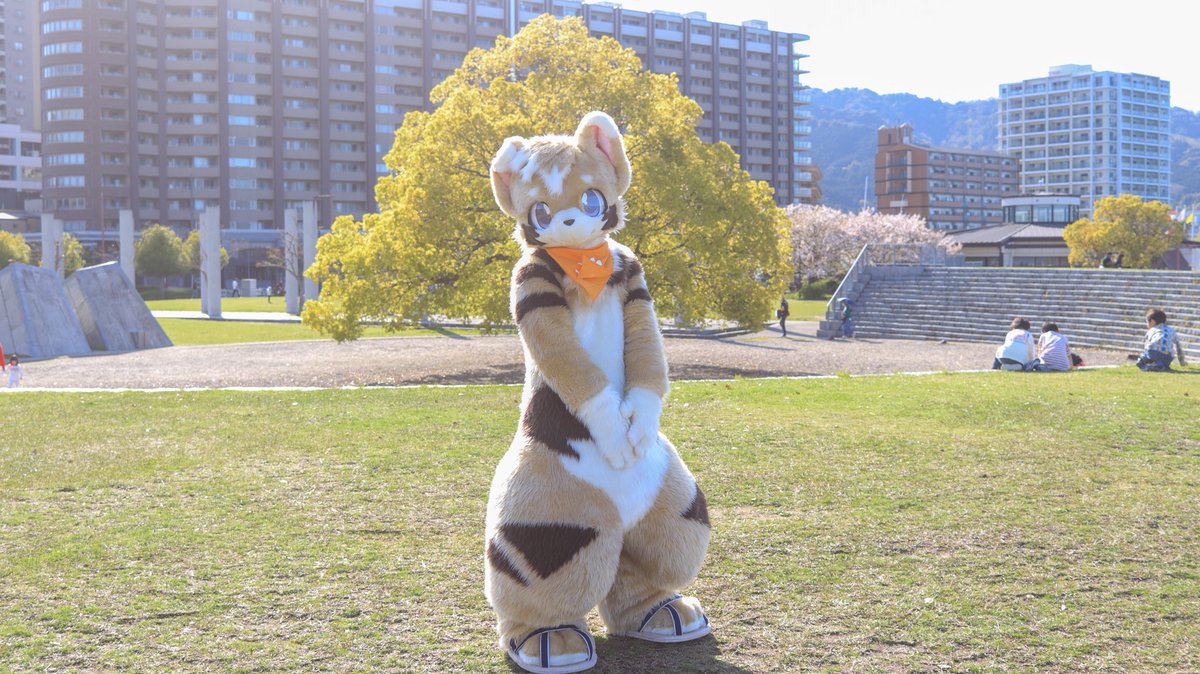 KigurumiWolf's tweet photo. 公園で待ち合わせ⛲️🐶
#FursuitEveryday https://t.co/ynteiOf0LT