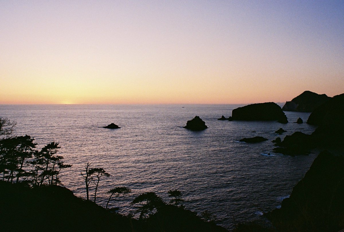 mediumelancholy's tweet photo. 春休みのフィルムが現像されて帰ってきた
見返すと撮ったときのこと思い出せていいね https://t.co/Qrfi3uzim4