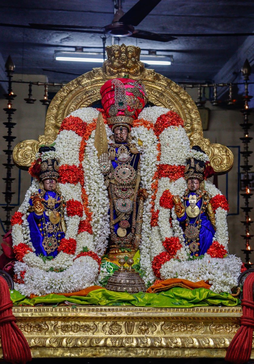 tamilbrahmins's tweet photo. Kanchi Sri Perarulalan Sannadhi Sri Swami Manavaala Maamunigal Saatrumurai https://t.co/PNcPZWrUh4
