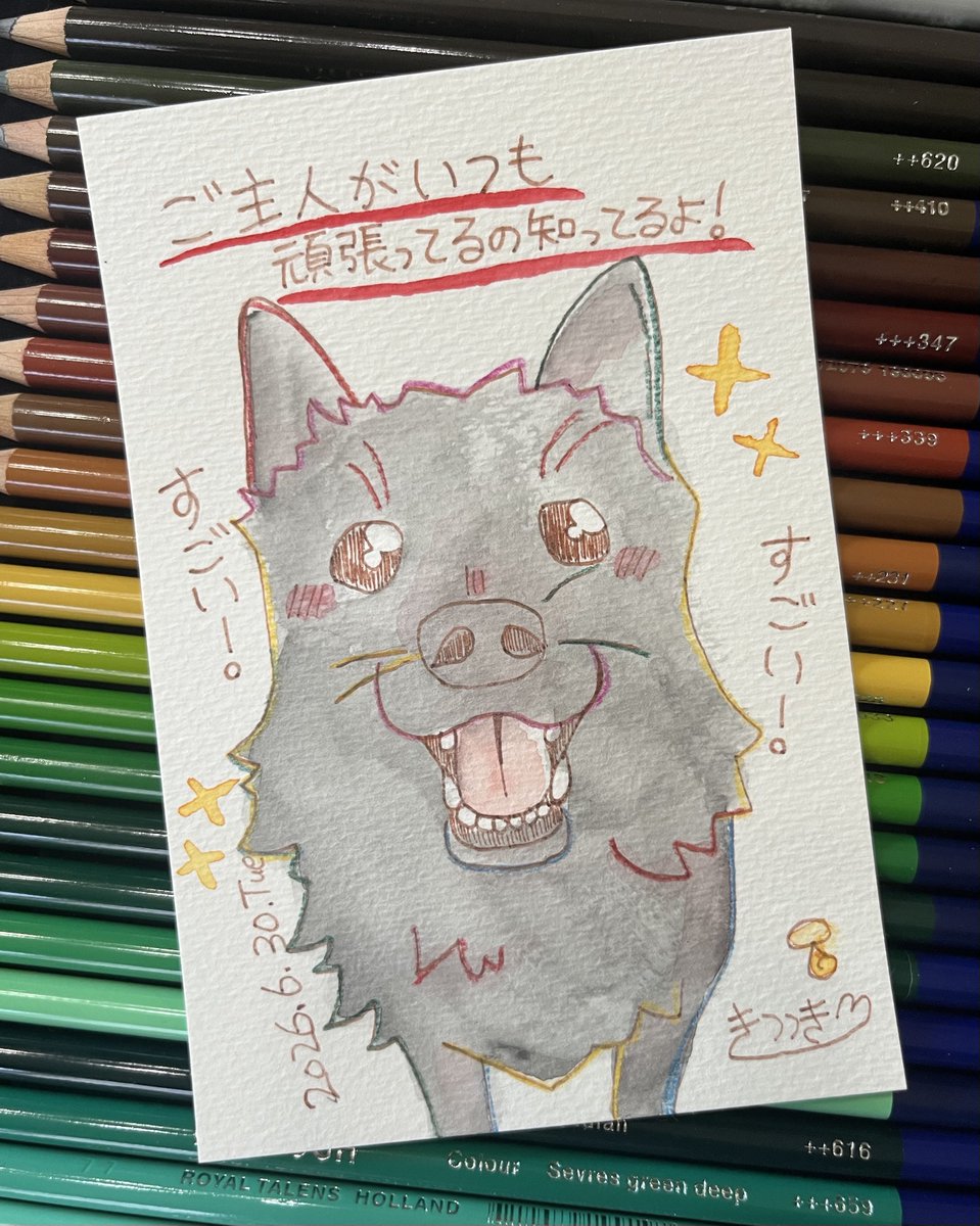 kttk_24's tweet photo. 『ご主人すごい！』30日目
#30daysdrawing #taihari
30日間のドローイングが本日で終了です！見守ってくださった皆さまありがとうございます😭🙏✨✨ https://t.co/7KXrakKwCr