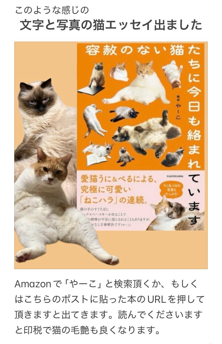 yalalalalalala's tweet photo. 写真大量の猫エッセイが出ました。
電子書籍もあります。

【本はコチラです】
https://t.co/D8wkvpA3tH

最初のニ話は文字が少なめですぐに読めます。あとはもう少し多いのでちゃんと本になっております。
そして、オシャレなフォトエッセイではないです。終始こんな感じです。 https://t.co/xNrfvFTUfa
