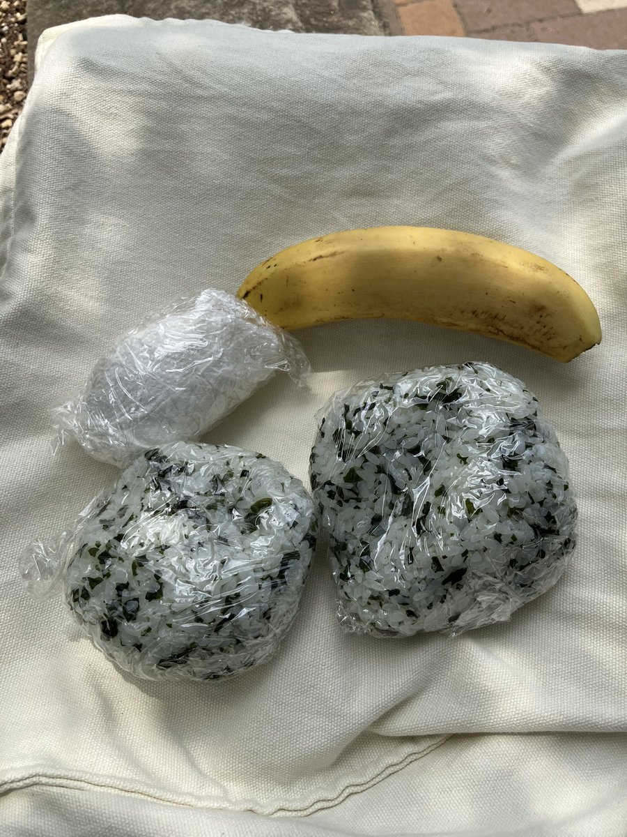 myon11's tweet photo. お昼休みのオニギリ男子、どうにか継続中🍙
ゆで卵とバナナをつけるくらいが費用・手間・量的にちょうどいい🌵 https://t.co/6MI7W0d8Q2