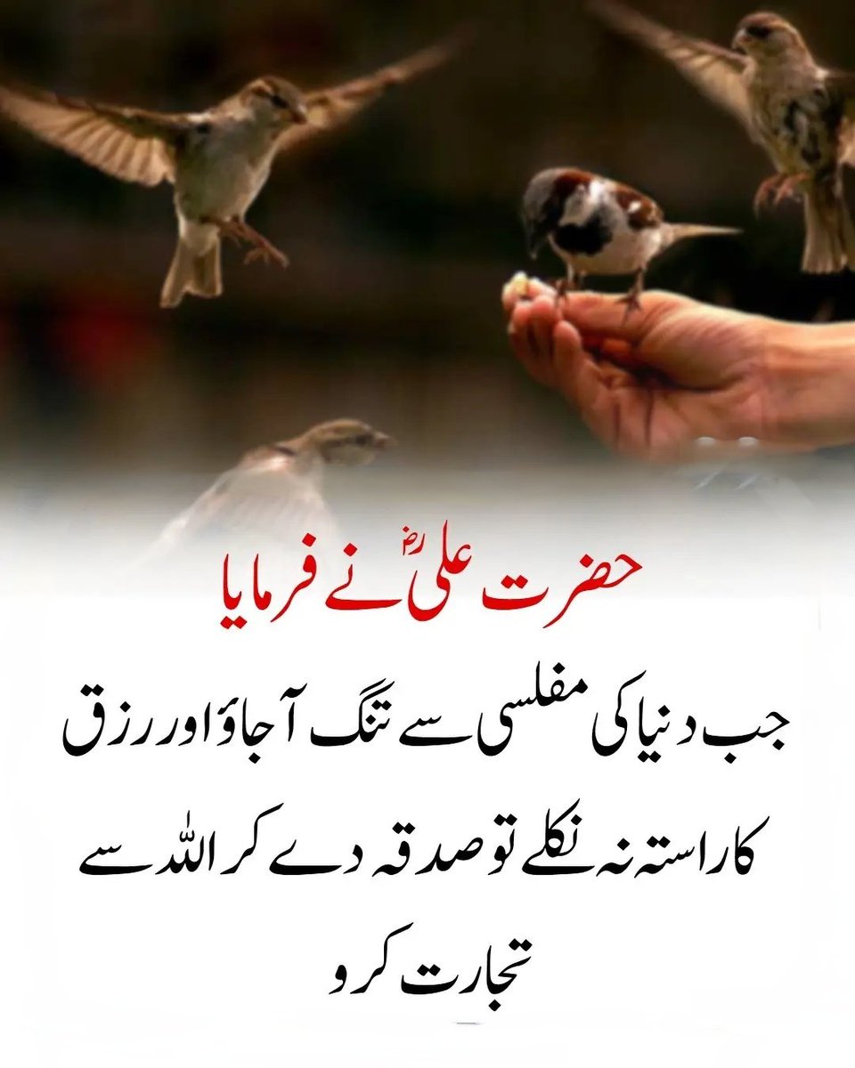 __SZ22's tweet photo. السلام علیکم ورحمتہ اللہ وبرکاتہ https://t.co/XD7jECZxXx