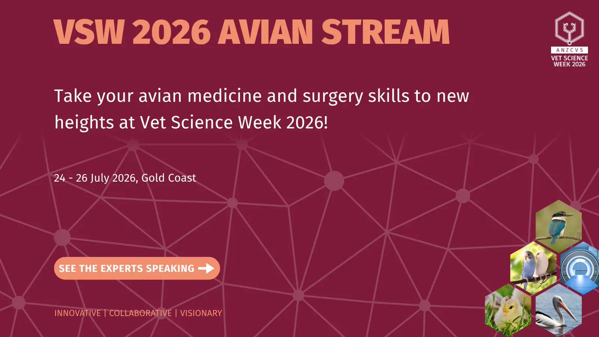 anzcvs tweet picture