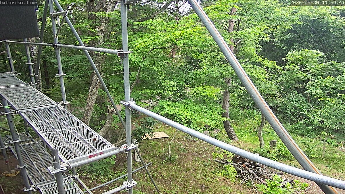 HatorikoBot's tweet photo. 🕒 06月30日 12時01分現在の福島県・天栄村・羽鳥湖平和郷の気象状況です。
🌡 気温:21.3℃
☔ 日雨量:0.0mm
🏴 最大風速:2.2m/s(南南東)
🌐 気圧:1017.8 hPa
🔎 詳細・グラフは プロフィールのリンク から
#天栄村 #福島県 #空ネット #netatmo https://t.co/wUg33rfYHq