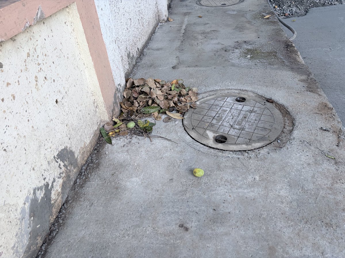bawesme's tweet photo. @chennaicorp team has poorly coordinated door-to-door garbage collection and sweeping in W105 Z8, Water Tank Road, MMDA Colony, Arumbakkam. Issue has worsened over the years under both current and previous administrations, showing a lack of supportiveness. @CMOTamilnadu https://t.co/S6A22m0Rgq