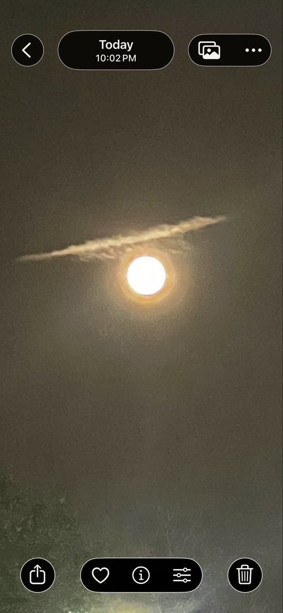 Ford1Tara's tweet photo. @mayemusk @elonmusk Beautiful moon right now! https://t.co/TNVlP9vfSO