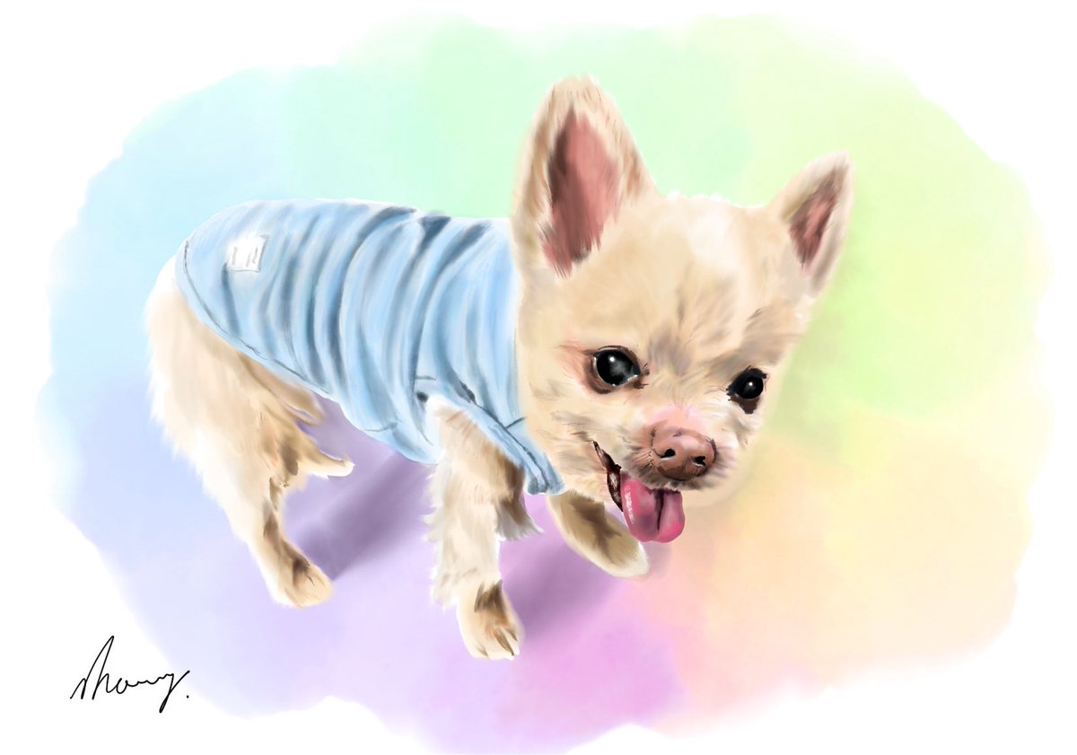 morry_7colors's tweet photo. ペットロスの方へ

つらさから目を背けてもいいんです。
写真を見れない日があって当たり前。

心が痛む時は、 無理に耐えようとしないで。

目を閉じて、ただ呼吸して、 今日をやり過ごしましょう。
それでいいんです。

あなたのペースが、 あなた自身を癒す力になります。 https://t.co/BC1LDzW51t