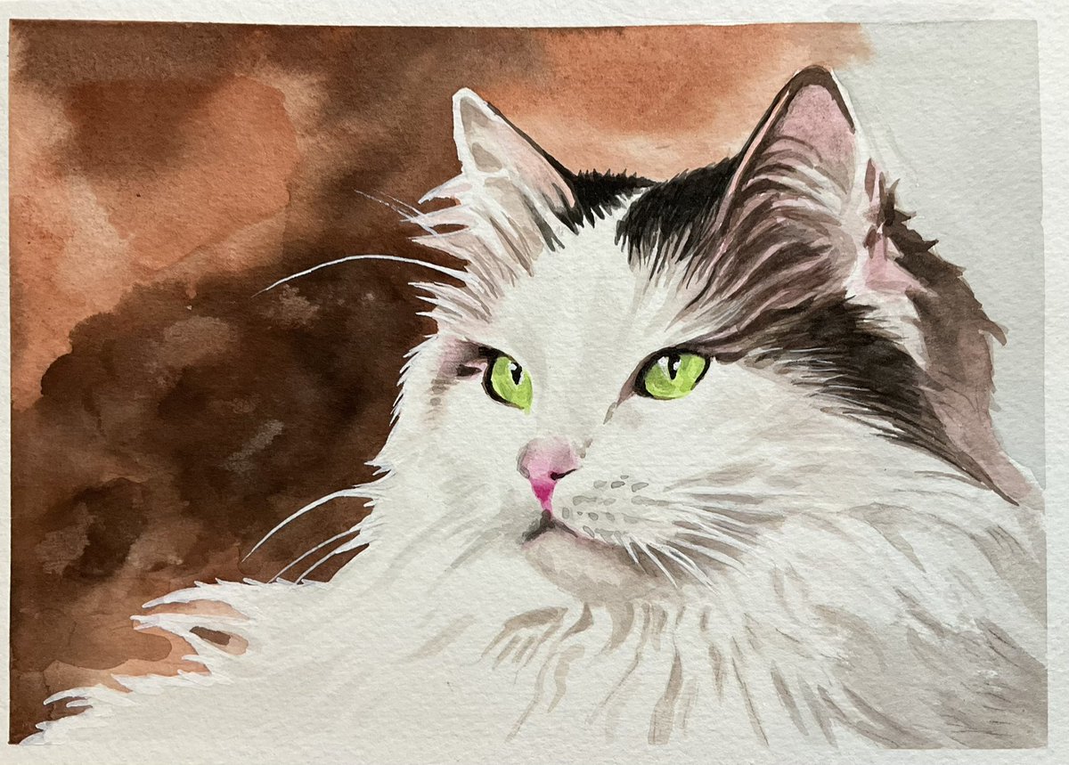【鶴林】猫の油彩画 小型と猫 水彩画 水彩画 #猫 #watercolorpainting #cat portrait drawing #greeneyes